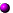 Punkt